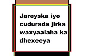 Jareyska iyo cudurada jirka waxyaalaha ka dhexeeya