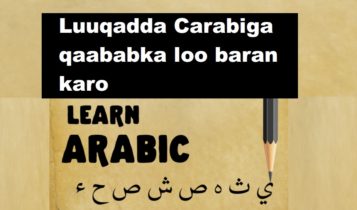 Luuqadda Carabiga qaababka loo baran karo