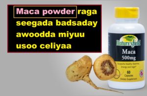 Maca powder raga seegada badsaday awoodda miyuu usoo celiyaa