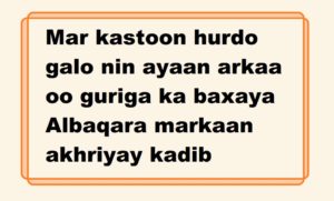 Mar kastoon hurdo galo nin ayaan arkaa oo guriga ka baxaya Albaqara markaan akhriyay kadib