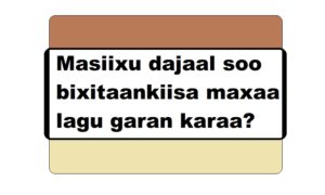 Masiixu dajaal soo bixitaankiisa maxaa lagu garan karaa?