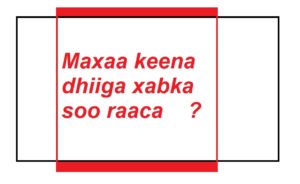 Maxaa keena dhiiga xabka soo raaca