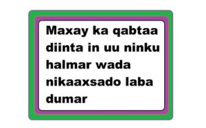 Maxay ka qabtaa diinta in uu ninku halmar wada nikaaxsado laba dumar