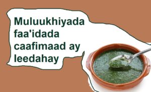 Muluukhiyada faa'idada caafimaad ay leedahay