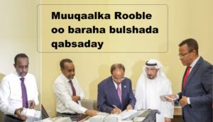 Muuqaalka Rooble oo baraha bulshada qabsaday