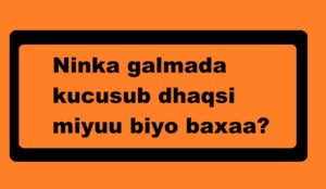 Ninka galmada kucusub dhaqsi miyuu biyo baxaa?