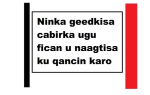 Ninka geedkisa cabirka ugu fican u naagtisa ku qancin karo