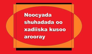 Noocyada shuhadada oo xadiiska kusoo arooray