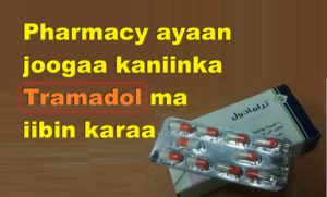 Pharmacy ayaan joogaa kaniinka Tramadol ma iibin karaa