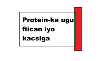 Protein ka ugu fiican iyo kacsiga