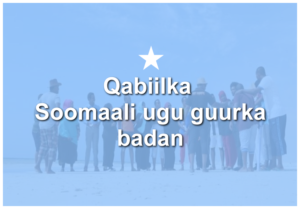 Qabiilka Soomaali ugu guurka badan