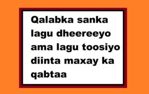 Qalabka sanka lagu dheereeyo ama lagu toosiyo diinta maxay ka qabtaa