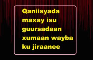 Qaniisyada maxay isu guursadaan xumaan wayba ku jiraanee