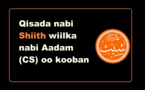 Qisada nabi Shiith wiilka nabi Aadam (CS) oo kooban