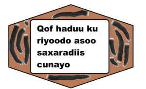 Qof haduu ku riyoodo asoo saxaradiis cunayo