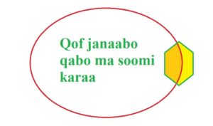 Qof janaabo qabo ma soomi karaa