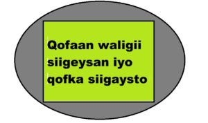 Qofaan waligii siigeysan iyo qofka siigaysto