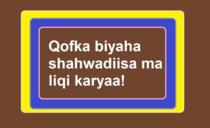 Qofka biyaha shahwadiisa ma liqi karyaa!