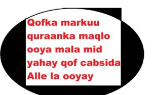 Qofka markuu quraanka maqlo ooya mala mid yahay qof cabsida Alle la ooyay