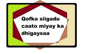 Qofka siigadu caato miyay ka dhigaysaa 