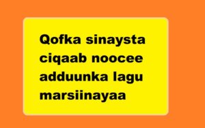 Qofka sinaysta ciqaab noocee adduunka lagu marsiinayaa