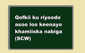 Qofkii ku riyoodo asoo loo keenayo khamiiska nabiga (SCW)