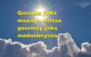 Qoraxda jirka maxay u tartaa goormay jirka madoobeysaa