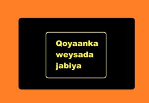 Qoyaanka weysada jabiya