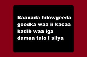 Raaxada bilowgeeda geedka waa ii kacaa kadib waa iga damaa talo i siiya