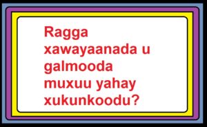 Ragga xawayaanada u galmooda muxuu yahay xukunkoodu