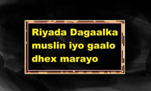 Riyada Dagaalka muslin iyo gaalo dhex marayo