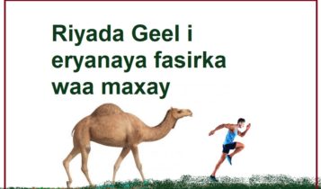 Riyada Geel i eryanaya fasirka waa maxay