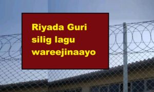 Riyada Guri silig lagu wareejinaayo