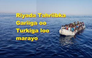 Riyada Tahriibka Gariiga oo Turkiga loo marayo