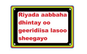 Riyada aabbaha dhintay oo geeridiisa lasoo sheegayo