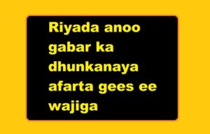 Riyada anoo gabar ka dhunkanaya afarta gees ee wajiga