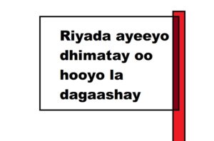 Riyada ayeeyo dhimatay oo hooyo la dagaashay