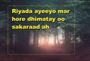 Riyada ayeeyo mar hore dhimatay oo sakaraad ah