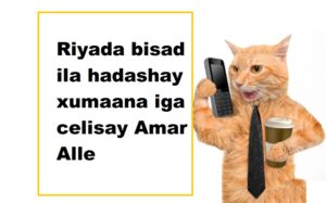 Riyada bisad ila hadashay xumaana iga celisay Amar Alle