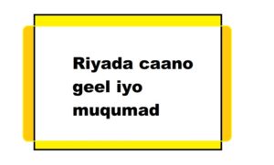 Riyada caano geel iyo muqumad