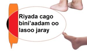 Riyada cago bini’aadam oo lasoo jaray