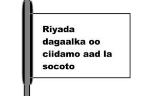 Riyada dagaalka oo ciidamo aad la socoto