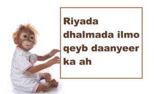 Riyada dhalmada ilmo qeyb daanyeer ka ah