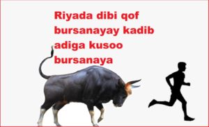 Riyada dibi qof bursanayay kadib adiga kusoo bursanaya