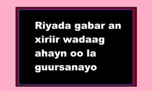 Riyada gabar an xiriir wadaag ahayn oo la guursanayo