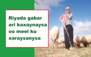 Riyada gabar ari kaxaynaysa oo meel ku xaraysanysa