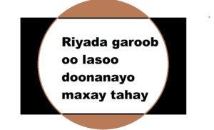 Riyada garoob oo lasoo doonanayo maxay tahay