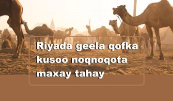 Riyada geela qofka kusoo noqnoqota maxay tahay