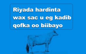 Riyada hardinta wax sac u eg kadib qofka oo biibayo