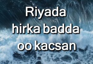 Riyada hirka badda oo kacsan